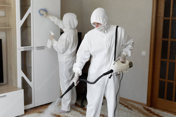 Best Commercial Mold Removal  in Smithville, OH